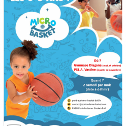 Micro Basket